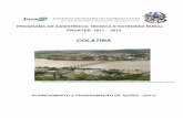 COLATINA - incaper.es.gov.br · Equipe Responsável pela elaboração Escritório Local de Desenvolvimento Rural de Colatina José Carlos Grobéro Euridis Baptisti Osvaldino Martins