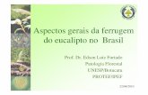 Aspectos gerais da ferrugem de eucalipto no Brasil - ipef.br · 39 espécies hospedeiras: Eucalyptus spp. Eugenia spp. (uvaia e cambuqueiro); ... • 2,8 BILHÕES DE DÓLARES EM 7