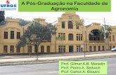 A Pós-Graduação na Faculdade de Agronomia - ufrgs.br · 1999 - Desmembramento do PPGAg, em 4 programas: PPG Fitotecnia (M e D) PPG Ciência do Solo (M e D) PPG Zootecnia (M e D)