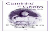 Caminho - bible-lessons.orgbible-lessons.org/languages/Portuguese/download-folders/01-Caminho... · Se bem que nada possamos fazer para mudar o coração ou pôr-nos em harmonia com