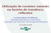 Utilização de corantes naturais na farinha de mandioca ... · Elisa Teshima, professora UEFS Joana Maria Leite de Souza, pesquisadora Embrapa Acre. Legislação. Legislação VI