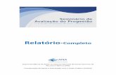 Relatório-Completo - progestao.ana.gov.brprogestao.ana.gov.br/.../i-seminario-progestao_relatorio-completo.pdf · − Aplicação de Pesquisa Delphi para avaliação das metas de