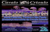 Funcionalidade e qualidade - cavalocrioulo.org.brcavalocrioulo.org.br/admin/assets/upload/jornais/junho_2004.pdf · CPF: ... que sentimos em ver o Cavalo Crioulo sendo projetado,
