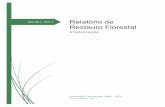 Relatório de Restauro Florestal - icv.org.br · os municípios de Alta Floresta, Carlinda e Paranaíta (Figura 1). Figura 1 – Mapa de distribuição das áreas de restauro ...