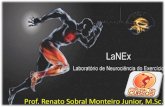 Renato Sobral Monteiro Junior, MSc. - static.eventials.com · 5 Estabilidade central Força central •Antecipação muscular profunda aos movimentos •Força e resistência isométrica