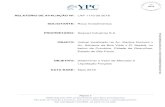 RELATÓRIO DE AVALIAÇÃO Nº: LAP 1170 00 2018mvbrecuperacoesjudiciais.com.br/wp-content/uploads/2018/08/SAYOART... · Página 3 Elaborado pela YPC exclusivamente para Roca Investimentos