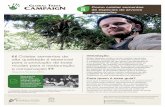 5Guia de espécies de árvores ameaçadas - globaltrees.orgglobaltrees.org/wp-content/uploads/2017/11/GTC-Guia-5-alta.pdf · anotações para identificação das espécies uma caixa