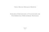 Estudos Estruturais e Funcionais da Fenilalanina ... · Fenilalanina Hidroxilase Humana Dissertação apresentada para a obtenção do Grau de Mestre em Genética Molecular e Biomedicina,