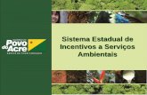 Sistema Estadual de Incentivos a Serviços Ambientais · Programa de Recuperação de Áreas Alteradas Programa do Ativo Florestal ... • 2009 – Proposta de REDD para Acre a partir
