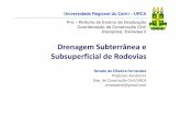 Universidade Regional do Cariri – URCA Pró – Reitoria de …wiki.urca.br/dcc/lib/exe/fetch.php?media=drenagem-sub... · 2012-01-29 · Drenagem Subterrânea e Subsuperficial