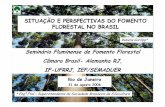 SITUAÇÃO E PERSPECTIVAS DO FOMENTO FLORESTAL NO … florestal.pdf · EVOLUÇÃO DAS PRÁTICAS E CONCEITOS DE GESTÃO (3) FOMENTO CONTRATUAL – Década 90: Fornecimento de mudas
