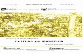 SlsTMAS CULTURA DO MARACUJA - infoteca.cnptia.embrapa.br · Sistema de Produção para a Cultura do Maracujá (SERRA DA IBIAPABA) No Estado do Ceará, a exploração comercial do