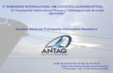 Cenário Atual do Transporte Hidroviário Brasileiroantaq.gov.br/Portal/pdf/palestras/Mar0817PiracicabaAlexOliva.pdf · caso sejam realizadas obras de infra-estrutura em outros 29