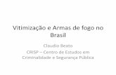 Vitimização e Armas de fogo no Brasil - Portal da Câmara dos … · Dois modelos Roubos em Geral e agressões •Nossa pergunta foi: •Possuir arma de fogo protege as pessoas?