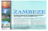 Volume 7 no 1 Estados da bacia do rio Zambeze trabalham ... · Os apologistas dizem que este conceito aborda os cursos de águas internacionais através da equidade na partilha de