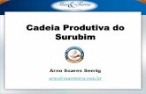 Cadeia Produtiva do Surubim - SUFRAMA · 2000 3000 4000 5000 0 6000 2002 2004 2006 2008 2010 2012 ano realizado estimado ... Dens. (px/m 3) P. inicial (g) P. Final (g) Dias Sobrev.