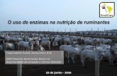O uso de enzimas na nutrição de ruminantes - AveWorldaveworld.com.br/relatorio/4fc96ffc6f7873b27402eb5121ece2cf.pdf · •blocos aleatorizados - peso inicial 12 h jejum •90 dias