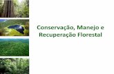 Conservação, Manejo e Recuperação Florestal · Art. 16 da Lei 4771 (Código Florestal de 1965), Mata Atlântica correspondente a 20% da área total do imóvel rural, coberta por