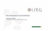 Biocombustíveis & Sustentabilidade - repositorio.lneg.ptrepositorio.lneg.pt/bitstream/10400.9/1498/1/CO [Compatibility Mode... · BIOETANOL de 1ª geração e de 2ª geração ...