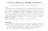 A FRAÇÃO NA PERSPECTIVA DO PROFESSOR E DO ALUNO  · Web viewCopenhague, disponível em  campos% 20and%20magina.doc, em janeiro de 2005. KIEREN, T. (1975) ...