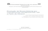 Produção de Biossurfatante por Pseudomonas aeruginosa EQ ...epqb.eq.ufrj.br/download/biossurfactante-por-pseudomonas... · UNIVERSIDADE FEDERAL DO RIO DE JANEIRO COMO PARTE DOS