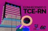 CONHECENDO O TCE-RN · Em termos de despesa com pessoal, por força de um erro ... TCE-RN TCE-RR TCE-SC TCE-PI TCE-AC TCE-CE TCE-SE TCE-T TCE-SP TC-D TCE-S TC-R TCE-PE TC-SP