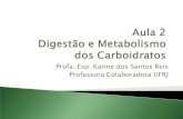 Profa. Esp. Karine dos Santos Reis Professora Colaboradora ...files.fisiobioquimica.webnode.com.br/200000048-2eda12fcde/Aula 2... · 50 –60% das calorias/dia devem vir dos CHO 1g
