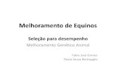 Melhoramento de Equinos - fcav.unesp.br · • Identificação precisa dos animais e das corridas; • Relacionar o parentesco. ... –Pelagem –Doenças • 2007 –Fim do sequenciamento
