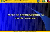 PACTO DE APRIMORAMENTO DA GESTÃO ESTADUALgespublica.gov.br/sites/default/files/documentos/pacto.pdf · Características do Pacto O Pacto de Aprimoramento da Gestão Estadual e do