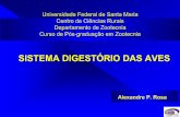 SISTEMA DIGESTÓRIO DAS AVES - jararaca.ufsm.brjararaca.ufsm.br/websites/lavic/download/zot426/DIGST.pdf · Absorção dos produtos da digestão Retenção e eliminação de restos