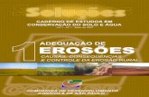 ADEQUAÇÃO DE EROSÕES - codasp.sp.gov.br · caderno de estudos em conservaÇÃo do solo e Água companhia de desenvolvimento agrÍcola de sÃo paulo adequaÇÃo de causas, conseqÜÊncias