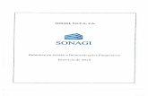a SONAGI, S.G.P.S., S.A. SONAGI Relatório de Gestão e ... · Demonstração Consolidada dos Resultados por Naturezas nos períodos de 31 de dezembro de 2015 e 2014 10 Balanço Consolidado