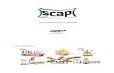 inta do SCAP Plus - Aspin Tecnologiaaspintecnologia.com.br/wp-content/uploads/2016/12/descricao... · Funcionamento com os bancos de dados Oracle e SQL Server; Possibilidade de utilização