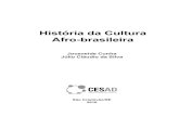 História da Cultura Afro-brasileira - cesadufs.com.br · O nascimento dos estudos das culturas afro-brasileiras Aula 2Oi FDUR DOXQR 6HMD EHP YLQGR DR QRVVR SULPHLUR HQFRQWUR RQGH
