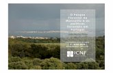 O Parque políticas florestais em PortugaI - am-lisboa.pt · Relatório acerca da arborização geral do país apresentado a Sua Ex.ª o Ministro das Obras Públicas, ... É uma capital