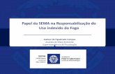 Papel da SEMA na Responsabilização do Uso indevido do Fogoreflorestamentoecarbono.com.br/wp-content/uploads/2016/04/papel-da... · - Atualmente a SEMA/MT executa a lavratura manual