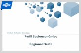Unidade de Gestão Estratégica Perfil Socioeconômico ...observatorio.sebraego.com.br/midias/downloads/05122014101424.pdf · o objetivo de contribuir com a tomada de decisão das
