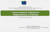 Licenciamento Ambiental: Regramentos e Práticasportal.antaq.gov.br/wp-content/uploads/2017/03/Licenciamento... · procedimento administrativo, que se implementa outro ... Plano de