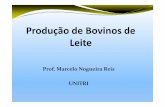 Prof. Marcelo Nogueira Reis UNITRI · A neosporose é uma doença causada pelo protozoário Neospora caninum, que tem o cão como hospedeiro definitivo e os bovinos, ovinos, eqüinos