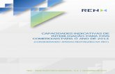 RL ELPR-PR XX - 2013 - Capacidades Indicativas de ... · Este relatório, intitulado “Capacidades Indicativas de Interligação para Fins Comerciais ... de A. Lindoso e de Cartelle,
