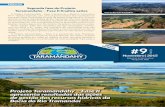 Segunda fase do Projeto Taramandahy – Fase II finaliza açõestaramandahy.org.br/wp-content/uploads/2018/05/boletim_taramandahy... · Atlântica e base para a produção da polpa