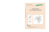 Agrodok-05-A fruticultura nas regiões tropicais · Prefácio 3 Prefácio As edições anteriores deste Agrodok, que foram publicadas em 1992 e 1999, apresentaram uma introdução