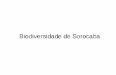 Biodiversidade de Sorocaba - Prefeitura de Sorocabameioambiente.sorocaba.sp.gov.br/educacaoambiental/wp-content/... · Lagarto-Teiú(Salvator merianae) Dormideira (Siphonops Paulensis)