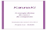 A energia divina da cura e da compaixão - ReikiBr.org · de uma prática meditativa e curativa, onde se usam os símbolos de Karuna Ki em substituição aos símbolos do Reiki Tradicional.