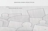 Sociologia Política - videolivraria.com.br · A definição de Estado do Bem-Estar Social | 43 A formação do EBE – dimensão econômica | 45 ... livro cumpra também o papel