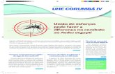 Informativo UHE CORUMBÁ IV / Curiosidades • Uma fêmea do Aedes aegypti pode gerar até 1.500 mosquitos durante a sua vida (30 dias). • O Aedes voa baixo, produz pouco zumbido