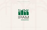 Manual de IdentIdade VIsual - ipam.org.bripam.org.br/wp-content/uploads/2017/01/Manual-de-identidade-visual... · da Amazônia construiu uma sólida história baseada em excelência,