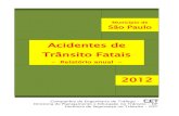 Acidentes de Trânsito Fatais - sites.poli.usp.brsites.poli.usp.br/d/ptr2377/CETSp-Acidentes-AnualFatais2012.pdf · 13 Evolução mensal dos acidentes de trânsito fatais e de suas