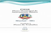 MUNICÍPIO DE MURIAÉ · 2018-04-12 · saneamento básico; criação do modelo de gestão, ... processo de participação da sociedade, cronograma das fases de elaboração dos produtos,