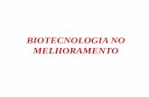 BIOTECNOLOGIA NO MELHORAMENTO - Faculdade de Engenharia · Algumas técnicas biotecnológicas •Indução de poliploidia •Cultura de tecidos •Cultura de protoplastos •Engenharia